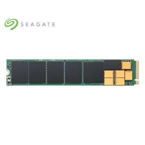Seagate Nytro SAS - 5000 SSD (M.2 22110) Dubai UAE